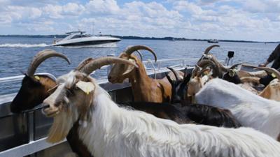 mareTV: An der Lübecker Bucht - Strandleben und viel dahinter