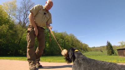 NaturNah: Der Jagdhundeausbilder: Der Jagdhundeausbilder