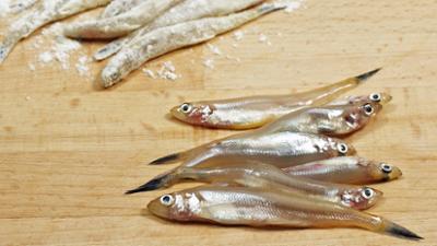 NaturNah: Der Stint: Der Stint – Ein Fisch und sein Fluss