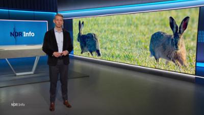 NDR Info: 17:00