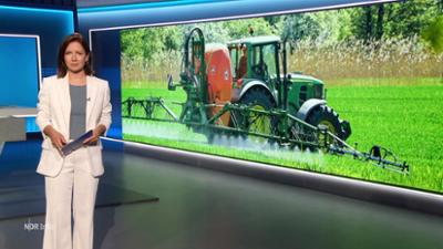 NDR Info: 17:00