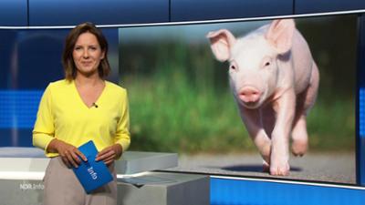 NDR Info: 21:45