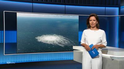 NDR Info: 21:45 NDR Info: 21:45
