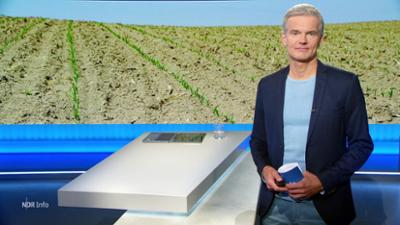 NDR Info: 16:00