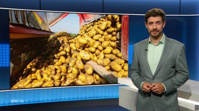 NDR Info: 21:45