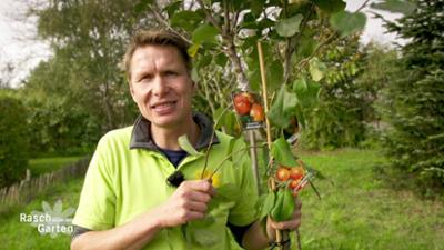Rasch durch den Garten: Obstbäume pflanzen