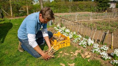 Rasch durch den Garten: Gartenzeit im Mai