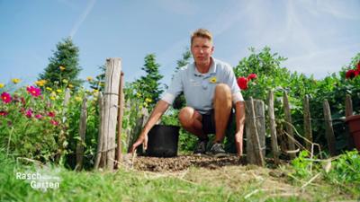 Rasch durch den Garten: Garten für Faule