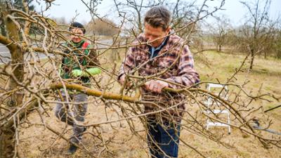 Rasch durch den Garten: Gartentipps für Herbst und Winter
