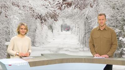 Schleswig-Holstein Magazin