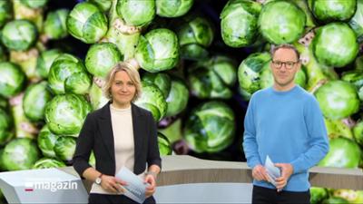 Schleswig-Holstein Magazin