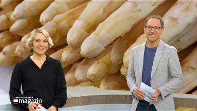 Schleswig-Holstein Magazin