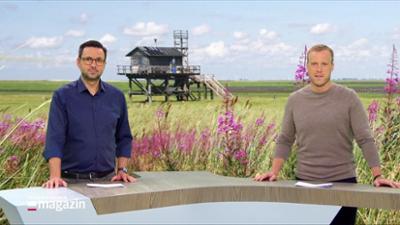 Schleswig-Holstein Magazin