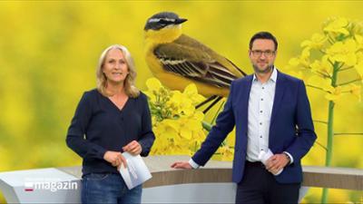 Schleswig-Holstein Magazin
