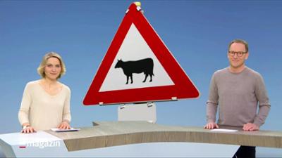 Schleswig-Holstein Magazin