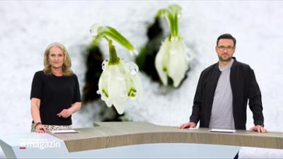 Schleswig-Holstein Magazin