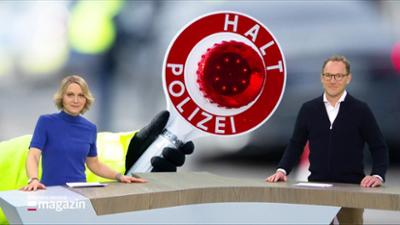 Schleswig-Holstein Magazin: |