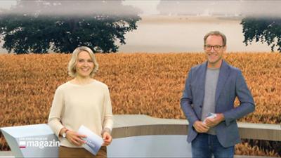 Schleswig-Holstein Magazin