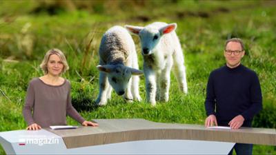 Schleswig-Holstein Magazin