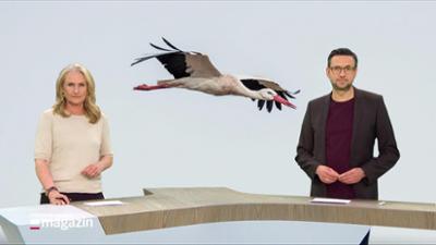 Schleswig-Holstein Magazin