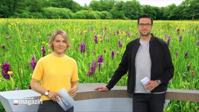 Schleswig-Holstein Magazin