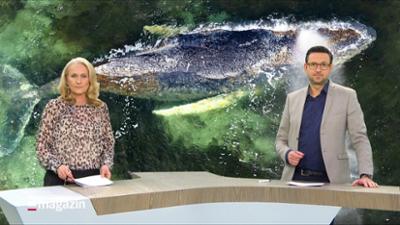 Schleswig-Holstein Magazin