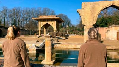 Seelöwe & Co. - tierisch beliebt: Neues aus dem Reich der Riesen (7)