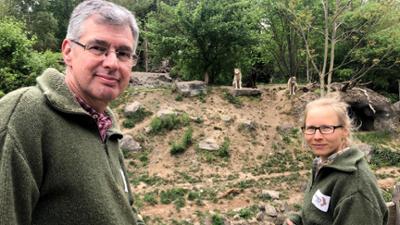 Seelöwe & Co. - tierisch beliebt: Ein Wolfs-Rudel erobert das Revier (8)