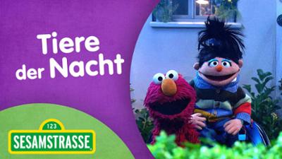 Sesamstraße: Tiere der Nacht