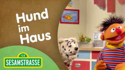 Sesamstraße: Hund im Haus