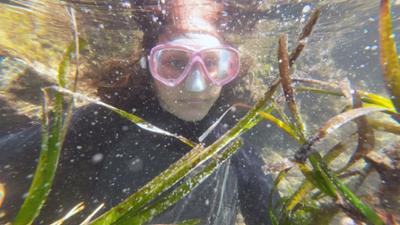 Weltbilder: Re: Die Seegras-Retter von den Balearen