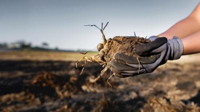 Wem gehört das Ackerland? Der Preiskampf um den Boden