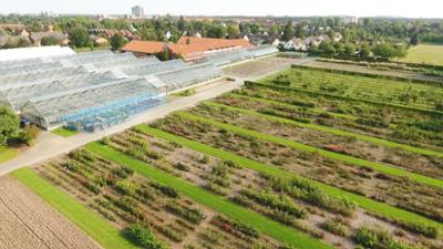 Wie geht das?: Das Geheimnis von Rosen, Raps und Rasen