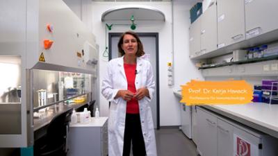 @campus - Ein Blick in das menschliche Immunsystem