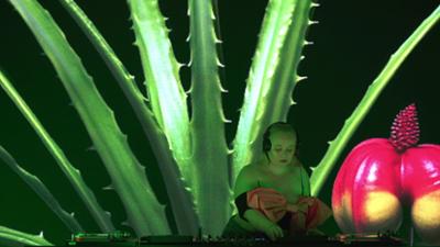 Chat with a DJ: ALBA