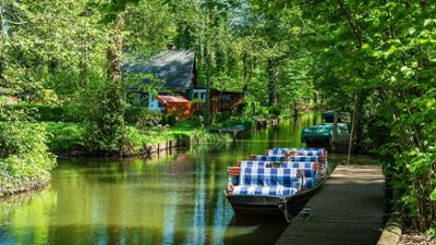 Der Spreewald von oben