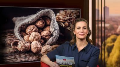 DER TAG in Berlin und Brandenburg: DER TAG in Berlin & Brandenburg vom 09.02.2024