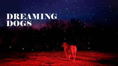 Dreaming Dogs
