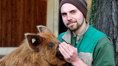 Eisbär, Affe & Co: Folge 179: Spaziergang mit Schwein