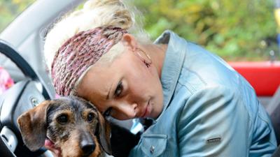 Frauchen und die Deiwelsmilch