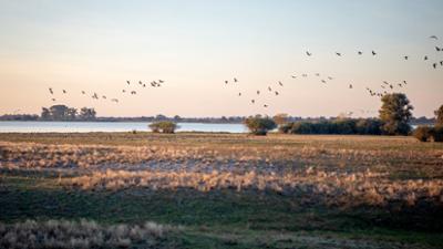 Hallo Nachbarn: Mit dem Ranger im Westhavelland