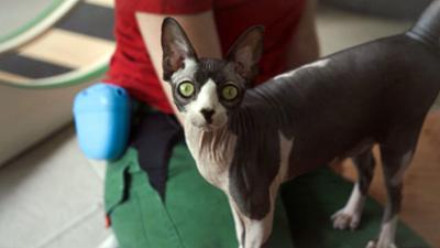 Hallo Nachbarn: Einsatz im Tierheim (3/5)