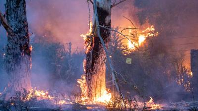 Hallo Nachbarn: Waldbrandstufe 5 in der Schorfheide