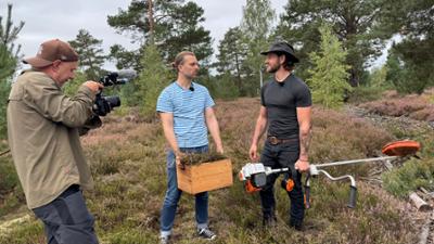 HEIMATJOURNAL: Reicherskreuzer Heide: Herbstblüte, Planwagen und Plinse