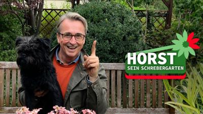 Horst sein Schrebergarten: Gärtnern @home: Diese DIY-Tricks sollte man kennen