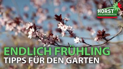 Horst sein Schrebergarten: Endlich Frühling - praktische Tipps für den Garten