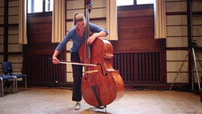 Instrumentenkunde: Streich-, Zupf- und Schlaginstrumente