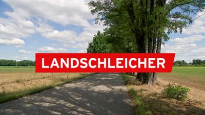Landschleicher: Groß Jamno