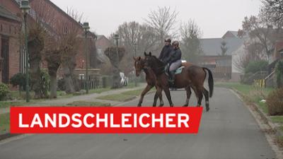 Landschleicher: Garlin	