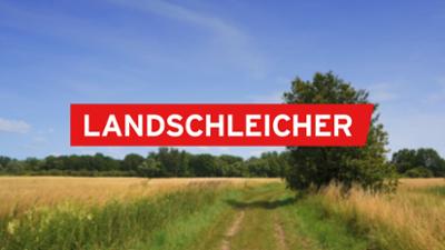 Landschleicher: Kreuzbruch